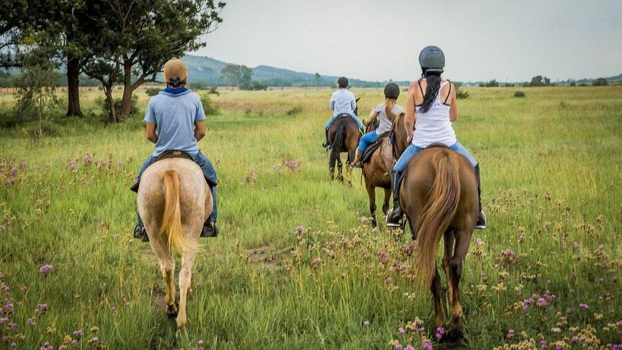 Horseback Riding